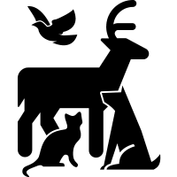 الحيوانات