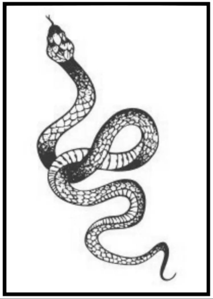 SOUL (505) - SOUL TATTOO