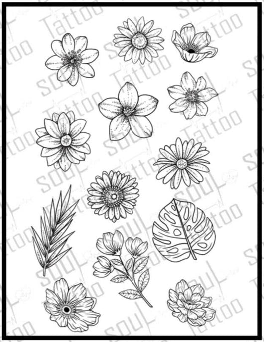 SOUL (811) - SOUL TATTOO