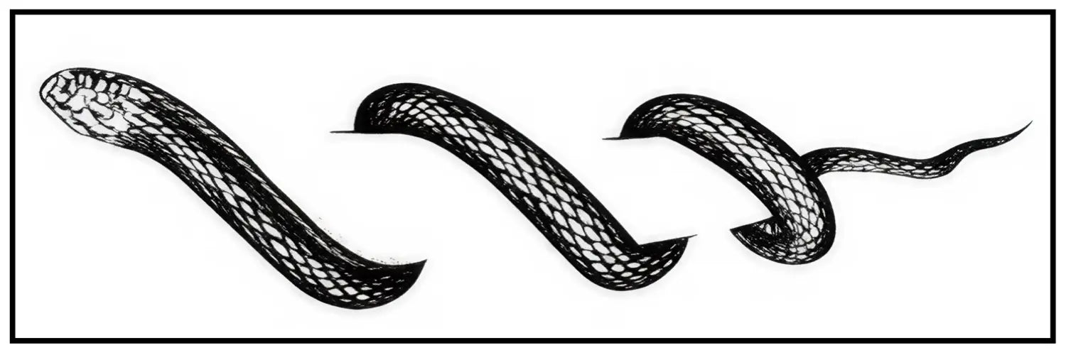 SOUL (824) - SOUL TATTOO