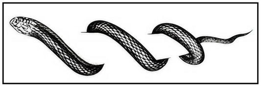 SOUL (824) - SOUL TATTOO